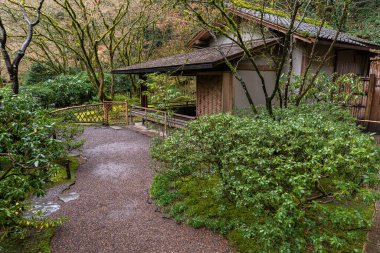 Japon Bahçesinde Çay Seremonisi