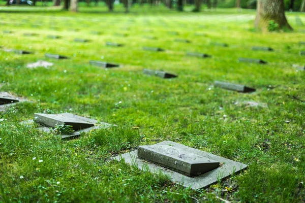 Επιτύμβιες Στήλες Στο Γρασίδι Από Τον Παγκόσμιο Πόλεμο — Φωτογραφία Αρχείου