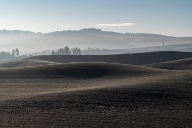 Solgun Manzara Kasım, WA