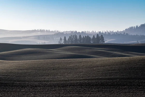 Paisaje Palouse Noviembre —  Fotos de Stock