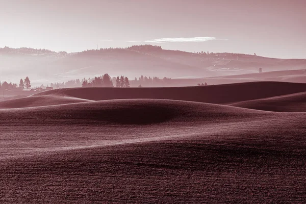 Paisaje Palouse Noviembre —  Fotos de Stock