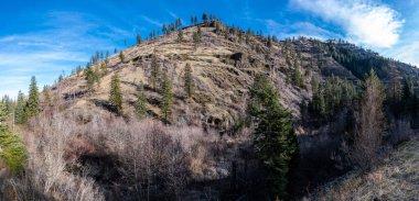 Mavi Dağlar, Umatilla Ulusal Ormanı, WA