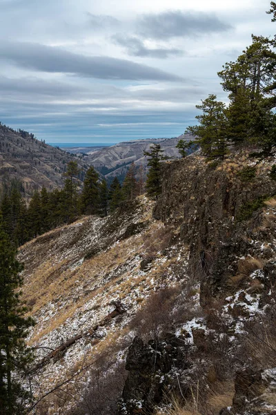 Blue Mountains Umatilla National Forest — Foto Stock