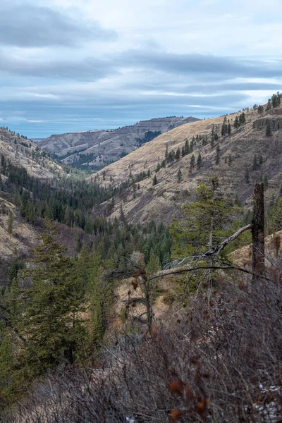 Blue Mountains Umatilla National Forest — Foto Stock