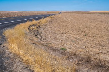 Road and Fields, Washington Eyaleti