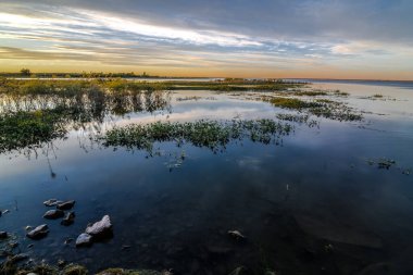 Washington 'daki Moses Gölü' nde yaz günbatımı