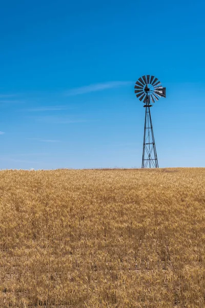 Вітряна Насосна Полі Пшениці — стокове фото