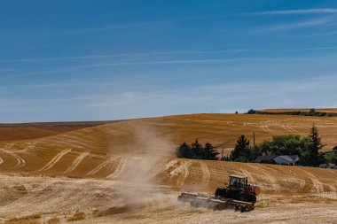 WA, Hasat 'tan sonra Palouse' da saha çalışması.