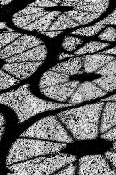 Sombras Rodas Areia — Fotografia de Stock