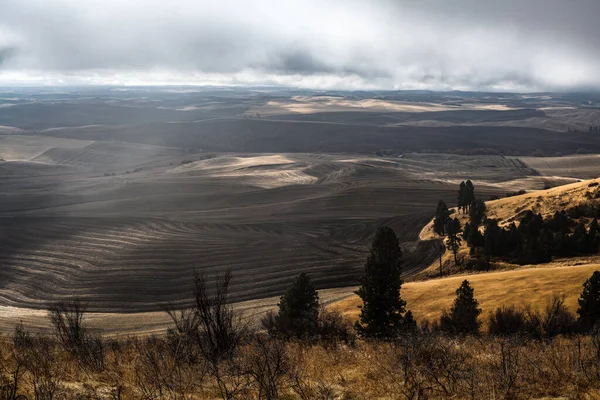 Palouse Fields Autunno Stato Washington — Foto Stock