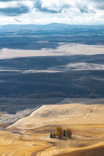 Palouse Fields Höst Delstaten Washington — Stockfoto