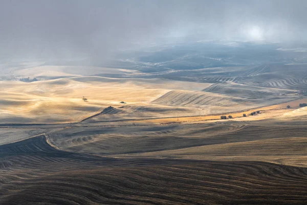 Palouse Fields Ősszel Washington Államban — Stock Fotó