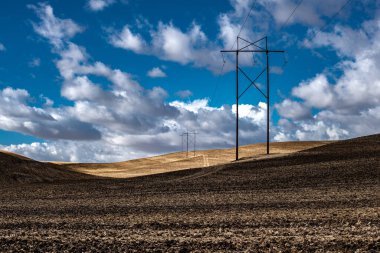 Sonbaharda Elektrik Elektrik Hatları ve Alanlar, Solgunluk, WA