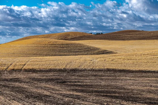 Palouse Fields Washington State Φθινόπωρο — Φωτογραφία Αρχείου