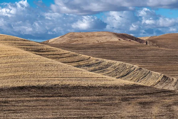 Palouse Fields Washington State Autumn — Stock Photo, Image