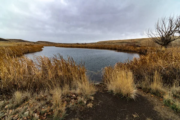 Lagoa Pampa Estado Washington — Fotografia de Stock