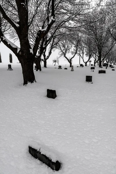 Cementerio Cubierto Nieve Invierno Profundo —  Fotos de Stock