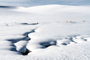 Palouse, WA 'da Kış Manzarası