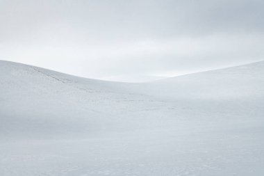 Palouse, WA 'da Kış Manzarası