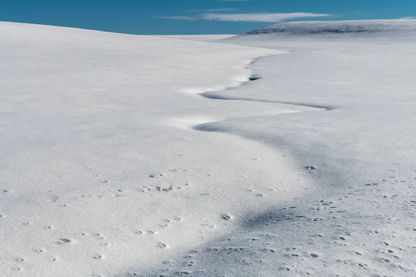 Winterlandschap Palouse — Stockfoto