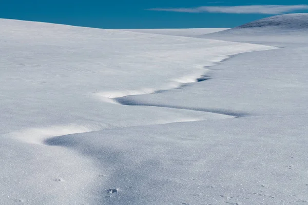 Winter Landscape Palouse — Stock Photo, Image