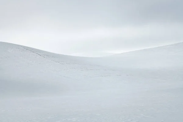 Χειμερινό Τοπίο Στο Palouse — Φωτογραφία Αρχείου