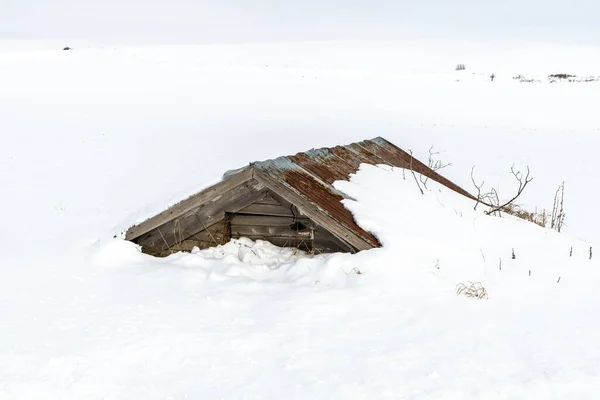 Derin Kışın Karla Kaplanmış — Stok fotoğraf