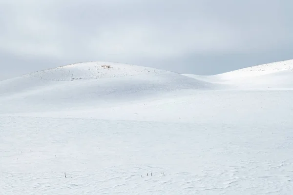 Paisagem Inverno Palouse — Fotografia de Stock