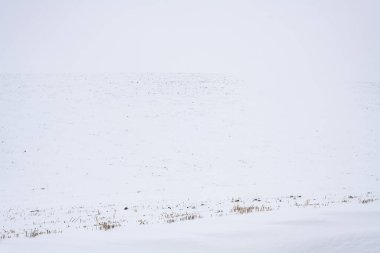 Palouse, WA 'da Kış Manzarası
