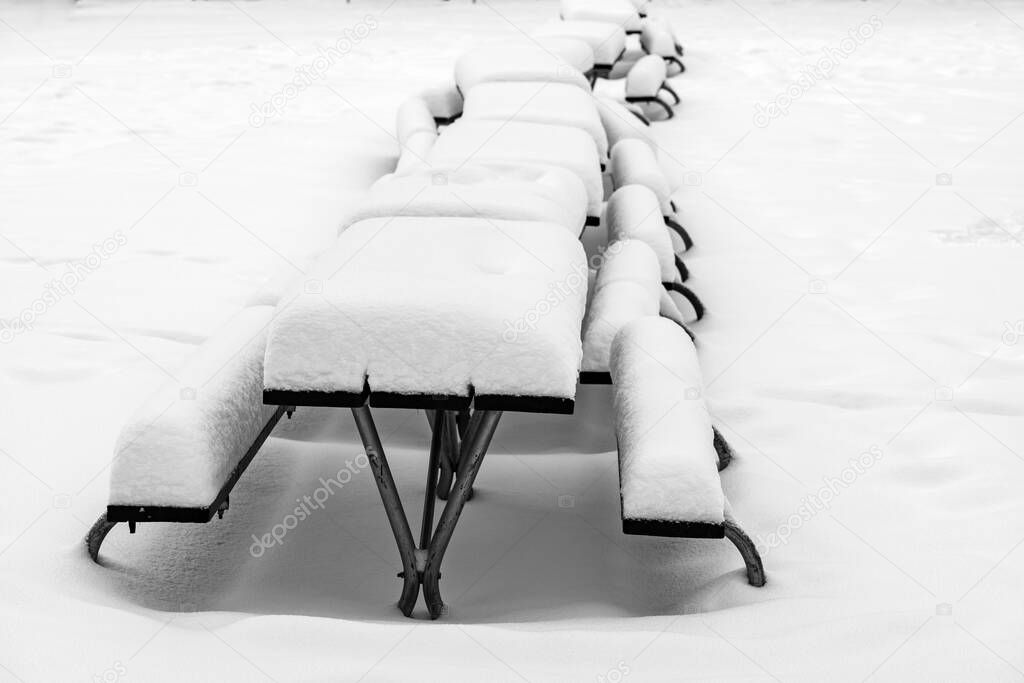 Park Benches covered with Snow