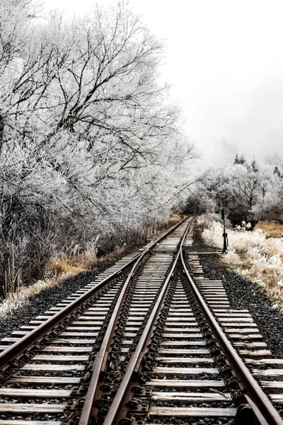 Σιδηροδρομικές Γραμμές Μετά Από Μια Ομιχλώδη Νύχτα Χειμώνα — Φωτογραφία Αρχείου