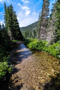 Lionhead Creek, Priest Lake State Park, Idaho