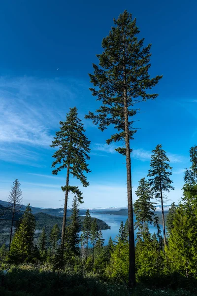 Widok Jezioro Priest Idaho Góry Lookout — Zdjęcie stockowe