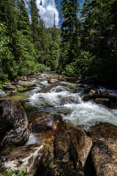 Creek Priest Lake State Park Lionhead Unit Idaho — Fotografia de Stock