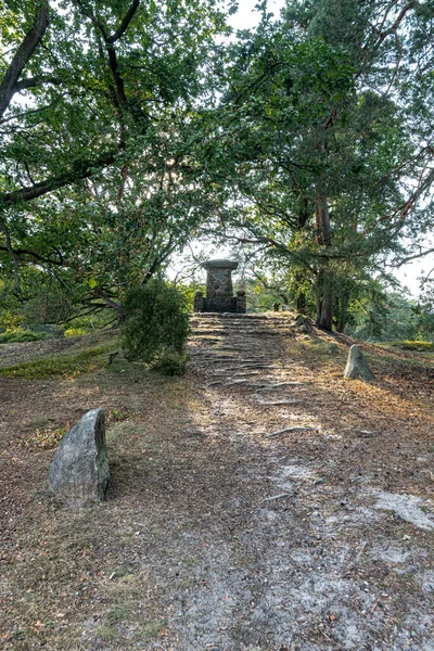 Heathland Bad Fallingbostel Duitsland — Stockfoto