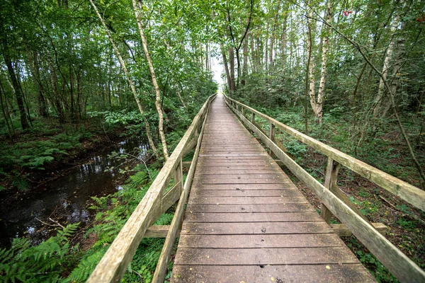 Wooden Walkway Watchtower Steinhuder Meer Germany — 스톡 사진