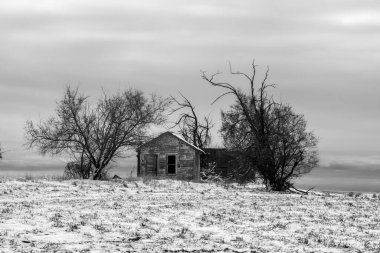 Tarlalardaki Eski Ev, WA