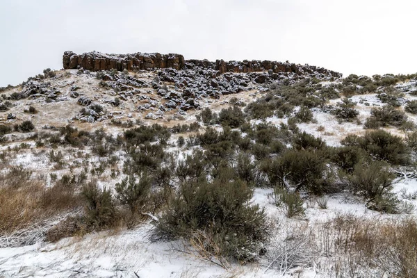 Columbia National Wildlife Refuge Zimie — Zdjęcie stockowe