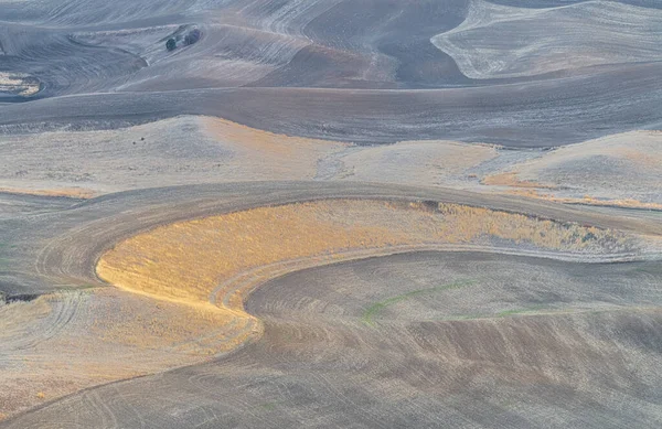 Palouse Fields Τον Νοέμβριο — Φωτογραφία Αρχείου