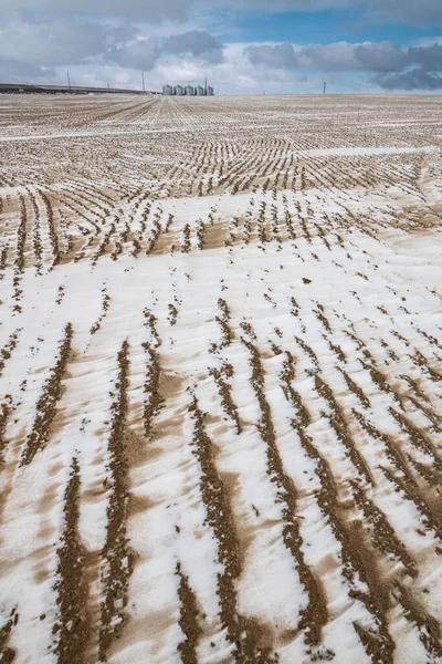 Snow Sand Pattern Field — Stock Photo, Image