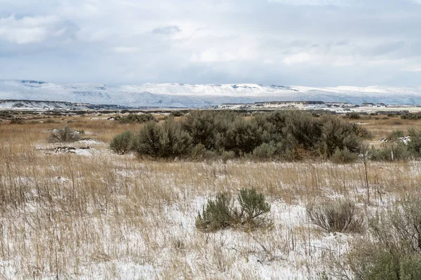 Columbia National Wildlife Refuge Early Spring — Stock Photo, Image