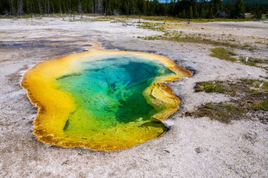 Bisküvi Havzasında Renkli Havuz, Yellowstone Parkı
