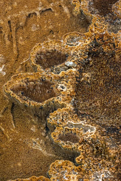 Геотермальные Сооружения Бассейне Реки Бисквит Йеллоустонский Парк — стоковое фото