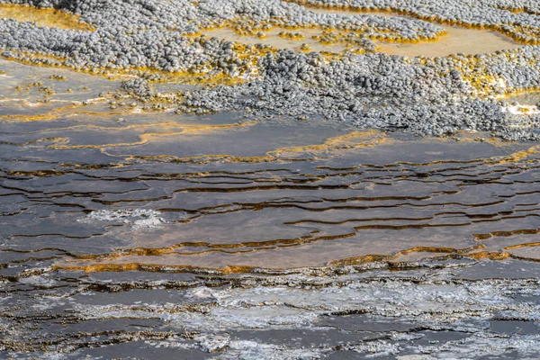 Strukturen Rund Einen Aktiven Geysir Biscuit Basin Yellowstone Park — Stockfoto