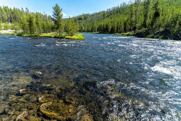 Firehole River Yellowstone Park — Foto de Stock