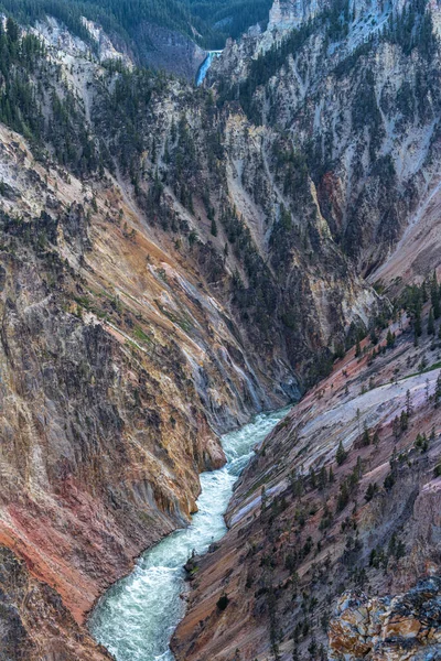 Grand Canyon Yellowstone Park — Fotografia de Stock