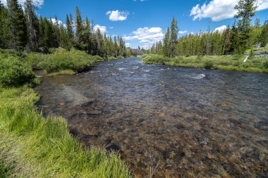 Yellowstone Ulusal Parkı 'ndaki Gardner Nehri