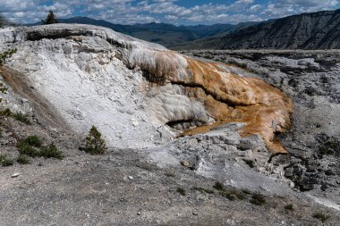 Mamut Kaplıcalarında Aşk Tanrısı Baharı Yellowstone Ulusal Parkı