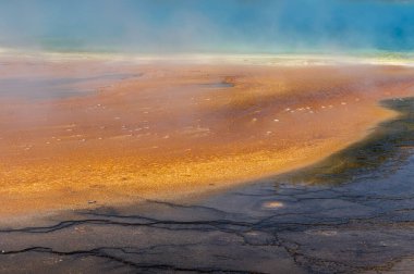 Büyük Prizmatik Bahar 'da Bakteri ve Çamur oluşumları, Yellowstone Ulusal Parkı