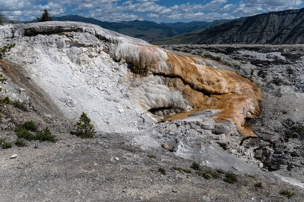 Primavera Cupidos Las Termas Mamut Parque Nacional Yellowstone — Foto de Stock